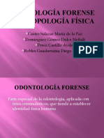Odontología Forense y Antropología Física