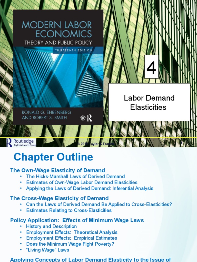Chapter 4 | PDF | Labour Economics | Elasticity (Economics)