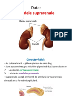 Glandele Suprarenale Vii