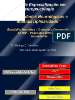 Aula 7 Enfermidades Neurológicas e Multidisciplinaridade Encefalite Hiv Vasculites
