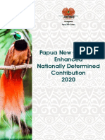 PNG Enhanced NDC 2020 - 3