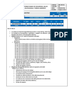 Informe Diario de Seguridad, Salud Ocupacional Y Medio Ambiente