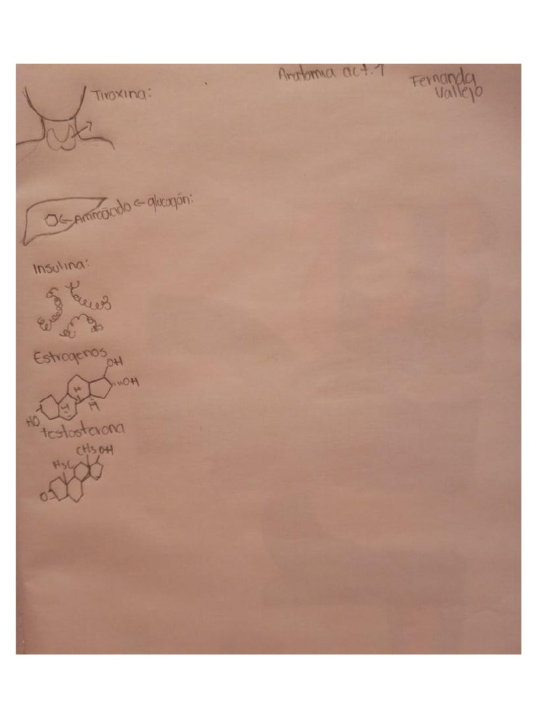 Act 1 anatomia pdf