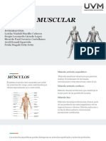 Sistema Muscular