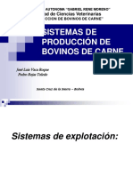 1.3. A-Sistemas de Produccion de Bovinos de Carne Ok