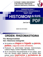 02 Histomoniasis Nueva