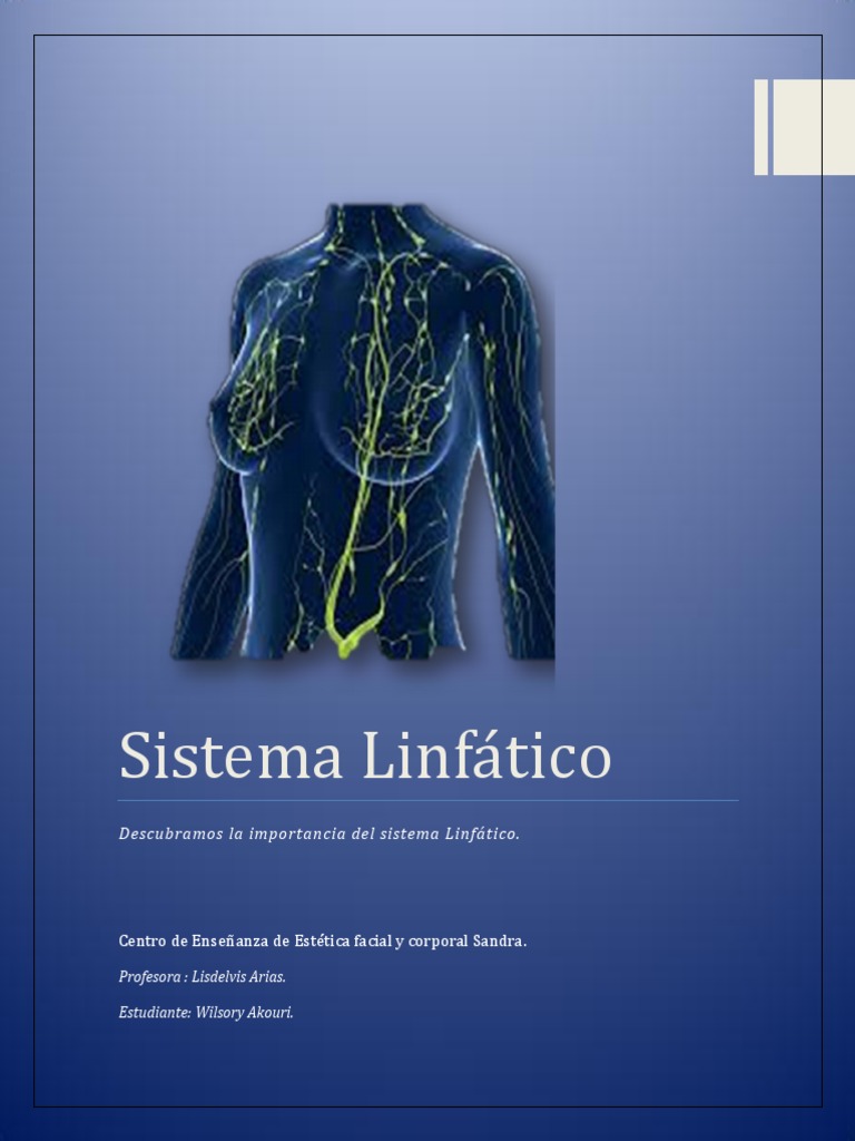 Sistema Linfático Pdf Sistema Linfático Linfa