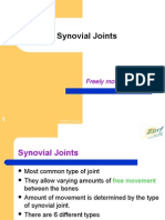 Synovial Joints: Freely Moveable