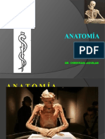 Anatomía: Dr. Christian Aguilar