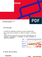 Tecido Epitelial: Pouso Alegre, 21 de Agosto de 2018 Rof. Msc. Ilan Munhoz Ayer