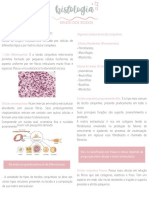 Histologia: Tecido Conjuntivo