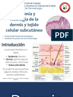 Anatomía y Fisiología de La Dermis y Tejido Celular Subcutáneo