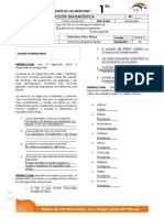 Evaluación Diagnóstica: Valentina Diez Meza 13 03