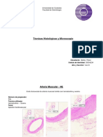 Técnicas Histológicas y Microscopio PDF