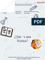 NOM-019-SSA3-2013 para La Práctica de Enfermería en El Sistema Nacional de Salud