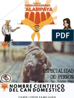 Especialidad Perros (034) - Talampaya