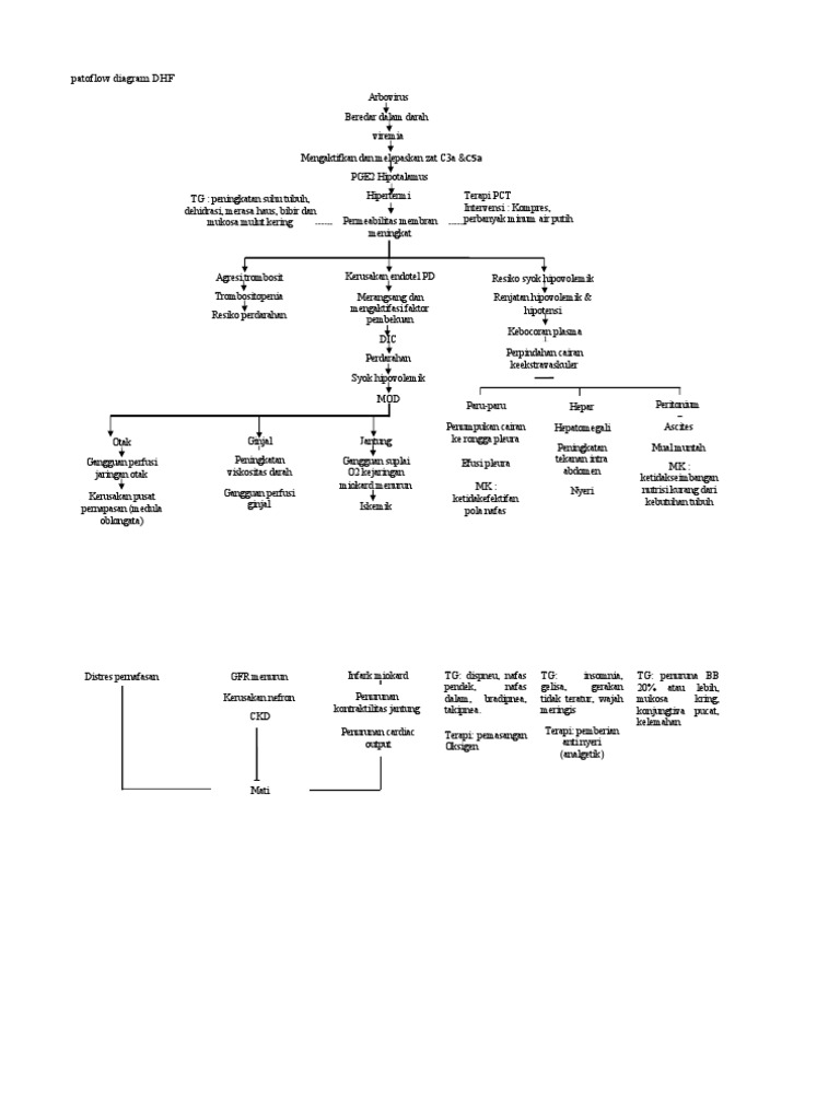 Patoflow diagram dhf 2 pdf