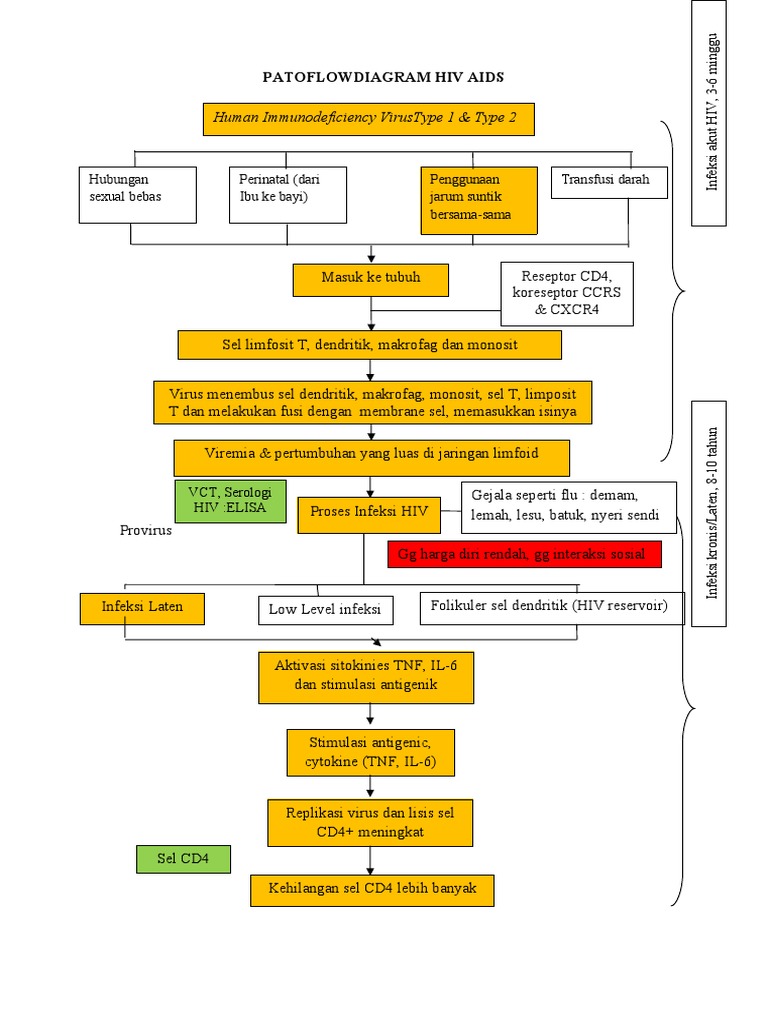 Diagram Patofisiologi HIV/AIDS | PDF