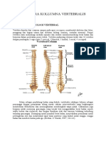 Fraktura Kollumna Vertebralis