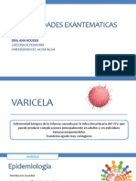 Enfermedades exantemáticas: Varicela