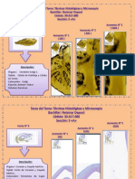 Tarea Del Tema Técnicas Histológicas y Microscopio-1