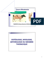 2-Cours_Anatomie_2019-1-1