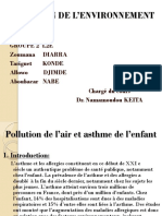 Pollution de L'environnement11