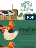 Good Breeding Practices Ayam Pembibitan