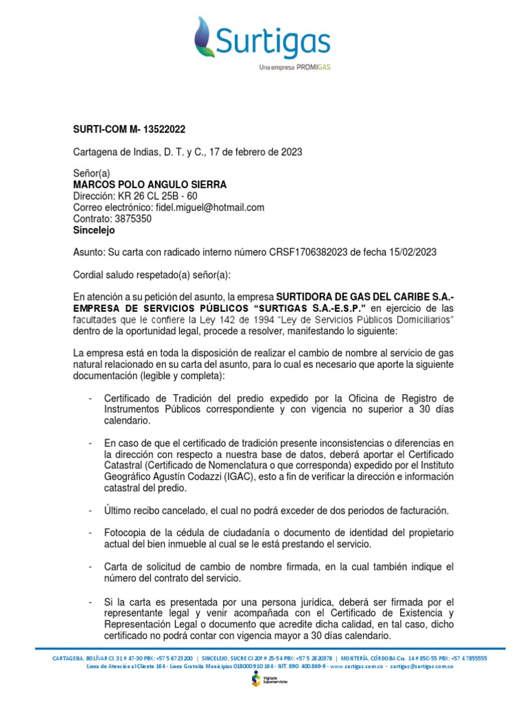 Manual de Iphone | PDF