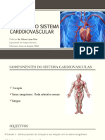 Sistema cardiovascular: estrutura, função e circulação sanguínea