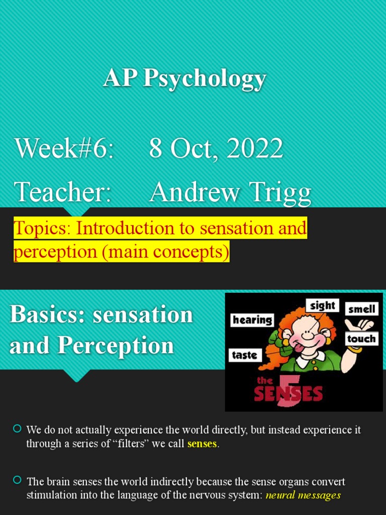 Sensation and Perception in AP Psychology | PDF | Senses | Stimulus ...