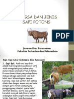 Bangsa Dan Jenis Sapi Potong: Jurusan Ilmu Peternakan Fakultas Pertanian Dan Peternakan