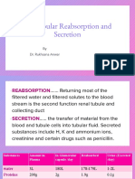 Tubular Reabsorption and Secretion: by Dr. Rukhsana Anwar