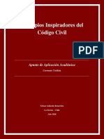 Principios Inspiradores Del Código Civil: Apunte de Aplicación Académica
