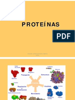 9 Proteínas