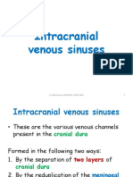 Intracranial Venous Sinuses