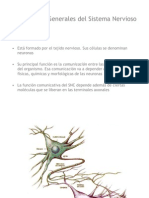 2-Sist Nervioso Neurona-C2
