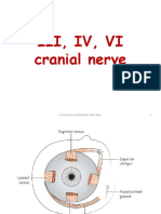 3,4,6 Cranial Nerves