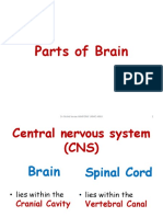 Parts of Brain