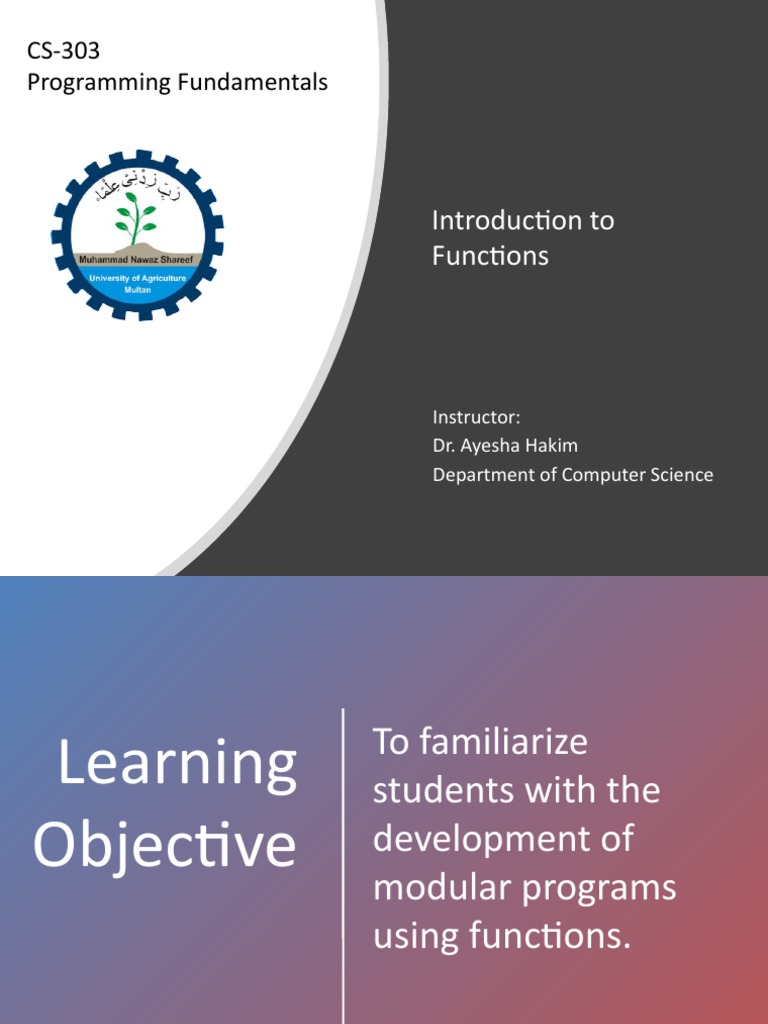 Introduction To Functions: CS-303 Programming Fundamentals | PDF ...