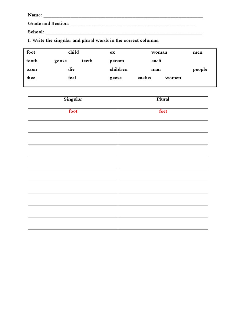 Singular and Plural Word List | PDF