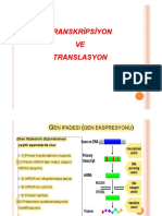Transkripsiyon VE Translasyon