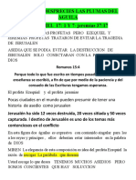 No desprecies las plumas del águila