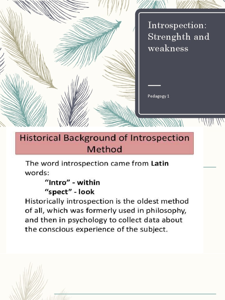Introspection: Strengths and Weaknesses | PDF | Experience | Cognition