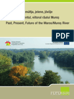 A Maros Folyó Múltja, Jelene, Jövője Trecutul, Prezentul, Viitorul Râului Mureş Past, Present, Future of The Maros/Mureş River