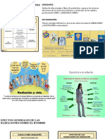 Efecto de Las Radiaciones Sobre El Hombre