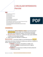 Biologia Celular Intensivo: Segundo Parcial: Monosacáridos