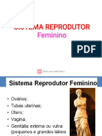 Sistema reprodutor feminino: estrutura e função