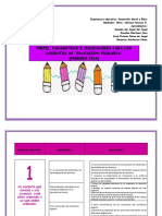 Perfil y Parametros e Indicadores para El DOCENTE PRIMARIA PDF