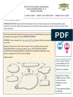 Abcdef Biología Olaya Janeth Montes 36